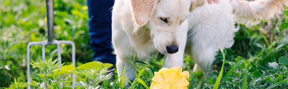 Zu Ihrer Information: